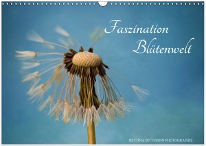 Read more about the article Kalender Faszination Blütenwelt