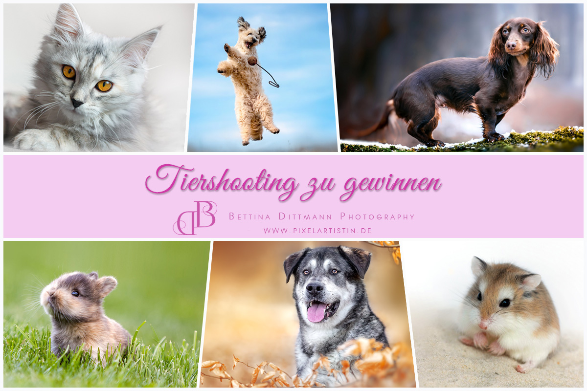 Mehr über den Artikel erfahren best friends