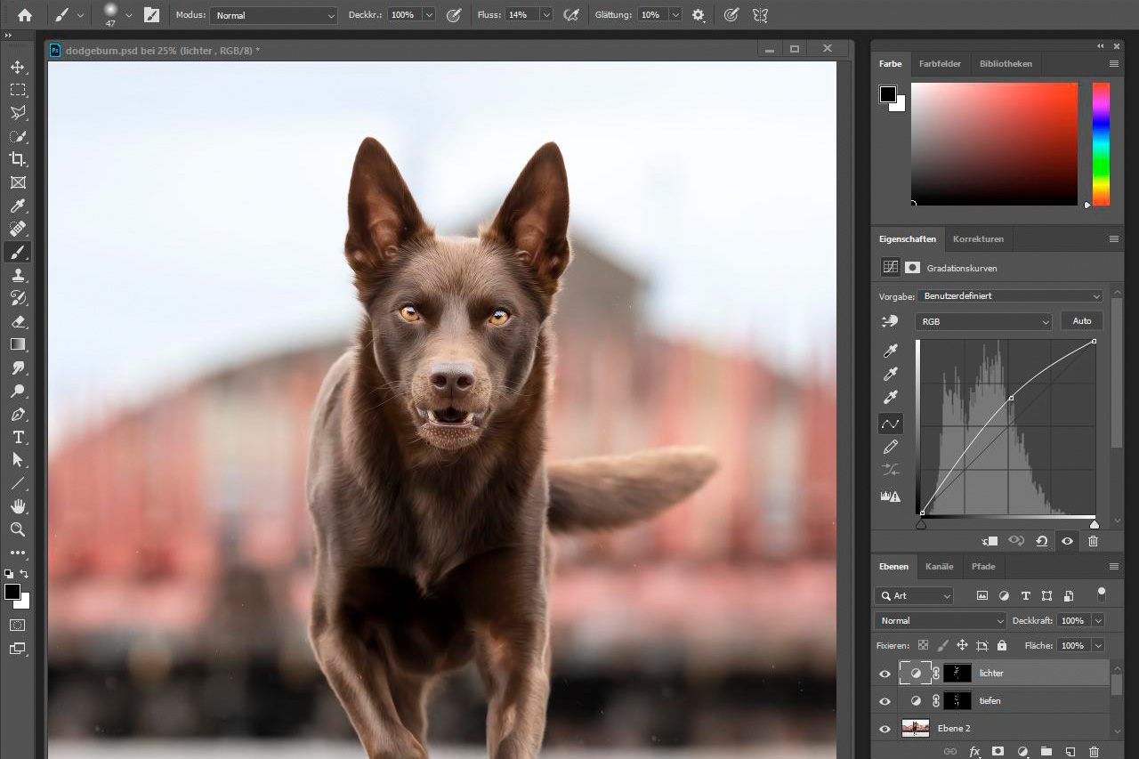 Mehr über den Artikel erfahren Dodge & Burn mit Gradiationskurven