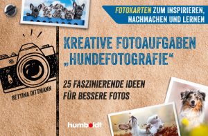 Read more about the article Kreative Fotoaufgaben Hundefotografie